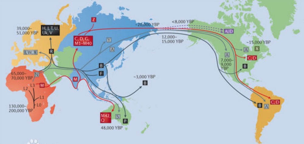 基因的奥德赛之旅:遗传学与人类历史的迁徙地图
