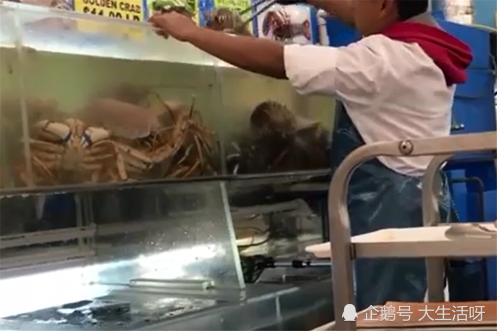 日本人吃"深海巨虫",切成块状油炸到两面金黄,色香味俱全!