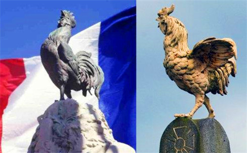 美国的国鸟是鹰,法国的国鸟是高卢鸡,中国的是什么?却