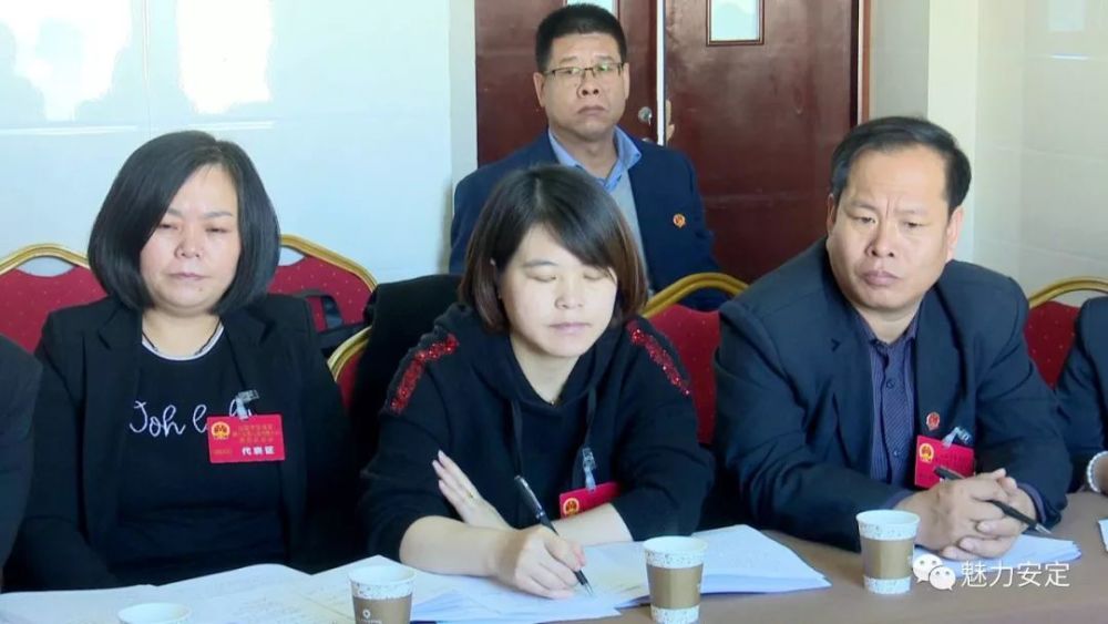 定西市安定区第十七届人民代表大会第四次会议举行分组讨论