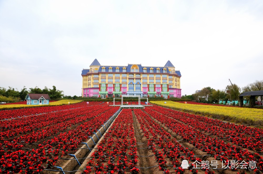 《童话王国》:广州南沙百万葵园,最接近童话的世界