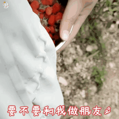 表情包丨我口袋里,什么都有.