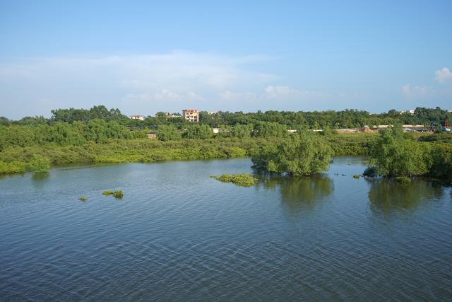 北海滨海国家湿地公园范围包括鲤鱼地水库,冯家江两岸,滨海红树林和