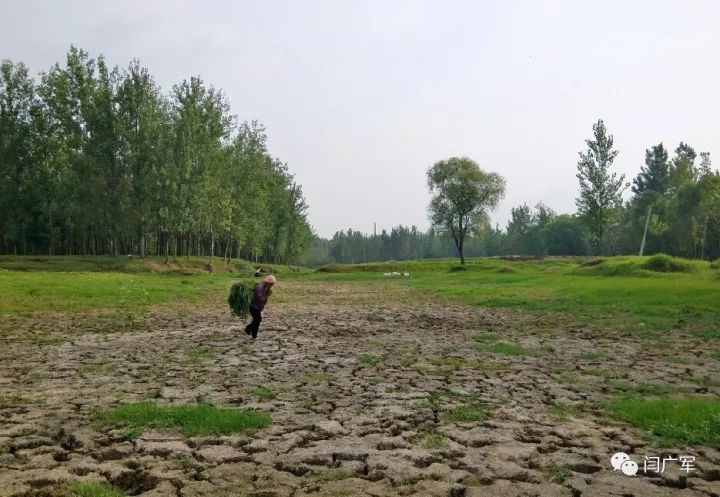 一组图片告诉你天南地北的鹿邑人为什么一定要在腊月三十前赶回老家