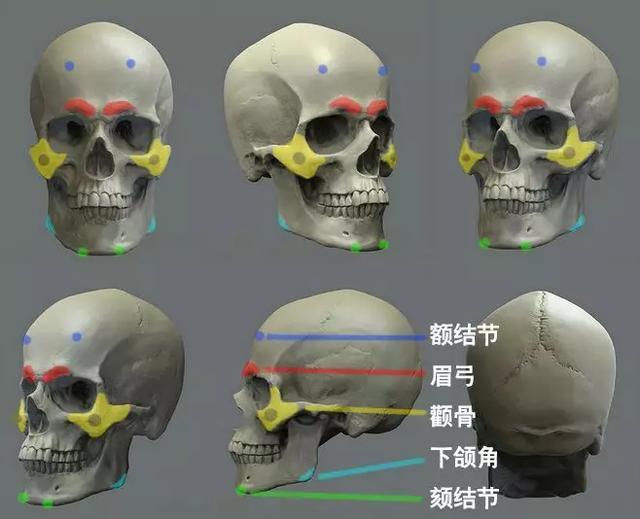 绘画,头像,二次元,脸型,厚涂,颧骨