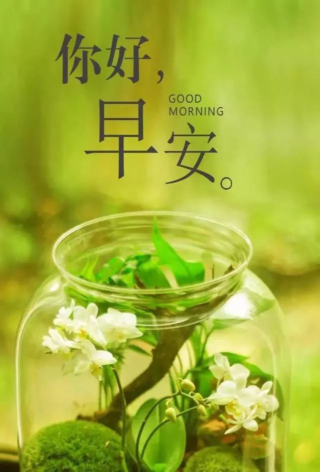 新的一周早安心语正能量励志 12.30新周阳光激励早安语录句子