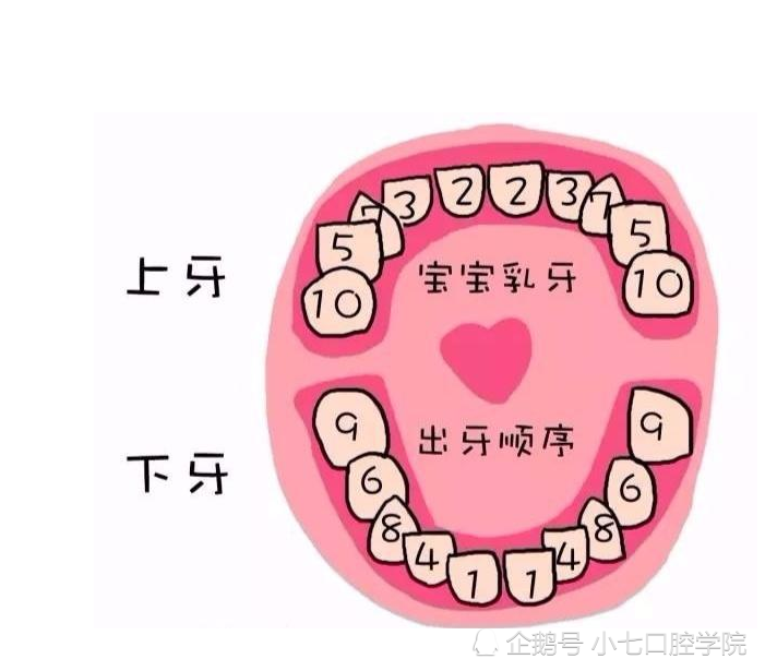 宝宝,孩子,牙齿,宝妈,长牙
