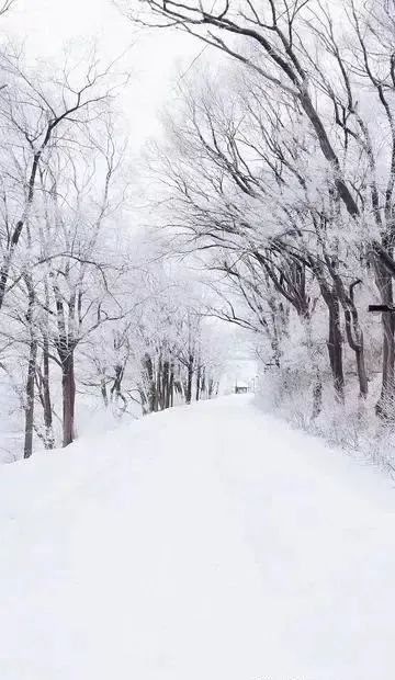 气温骤降,2020年的第一场雪,已经安排上了!