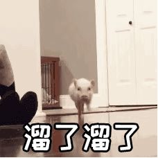 猪猪,怎么可以.这么好吃_腾讯