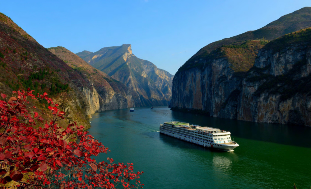 吃火锅,游三峡,看夜景……重庆邀请上海游客去过年!