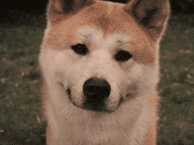 变成一群单身狗的孤单