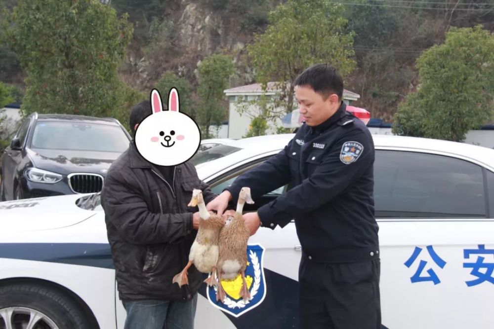 人民警察,鸭子