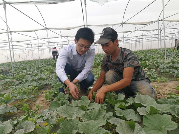 筑梦边疆 青春无悔—记上海第九批援疆干部,巴楚县商经委副主任程畅