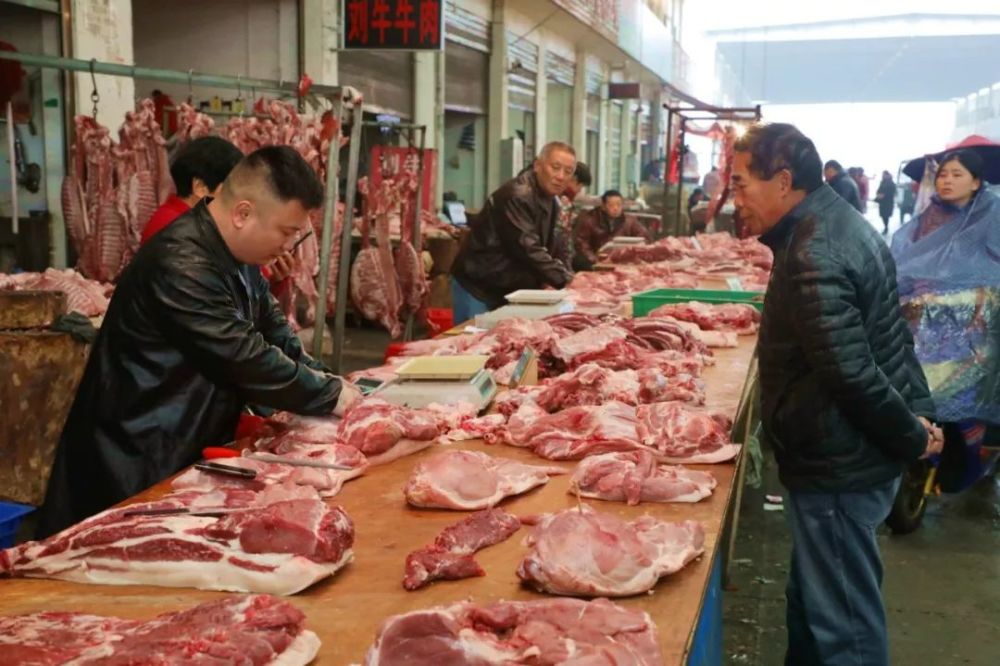 未来猪肉市场价格预测