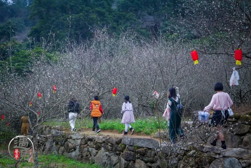 梅海,梅林镇,普宁,梅园,大坪镇,龙堀村