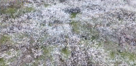 腾讯内容开放平台