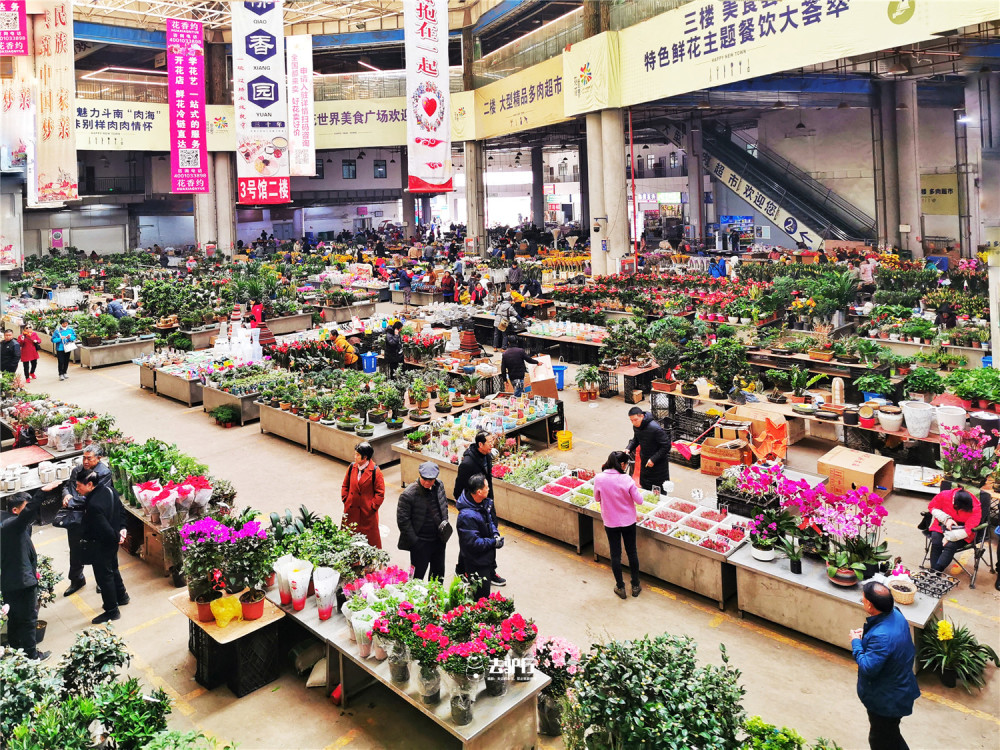 斗南花卉市场,鲜花,批发市场,亚洲,云南