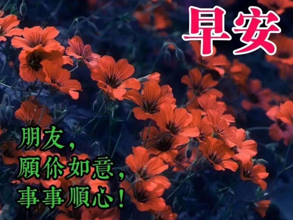 最新版清晨早上好问候朋友的早安图片 暖心的早晨好祝福早安句子