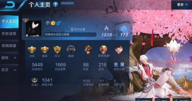 王者荣耀,皮肤,王者荣耀&貂蝉,王者荣耀&诸葛亮