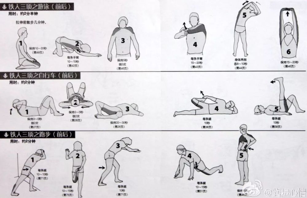 拉伸动作全收录,缓解肌肉僵硬让你健步如飞