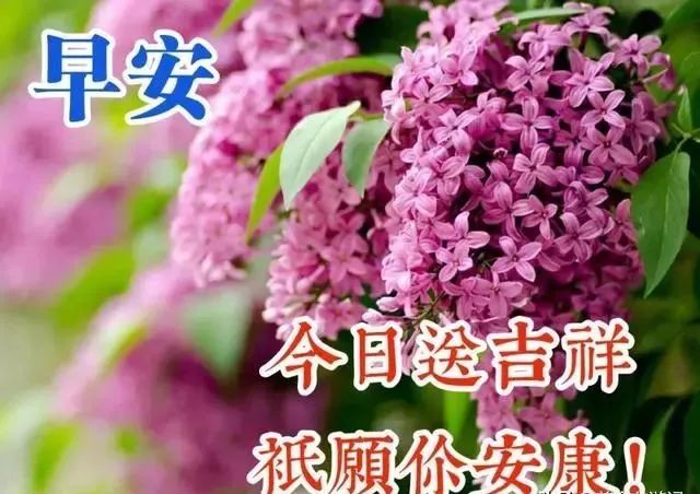 周三早晨好温馨祝福语录,微信早安问候动态图片带字