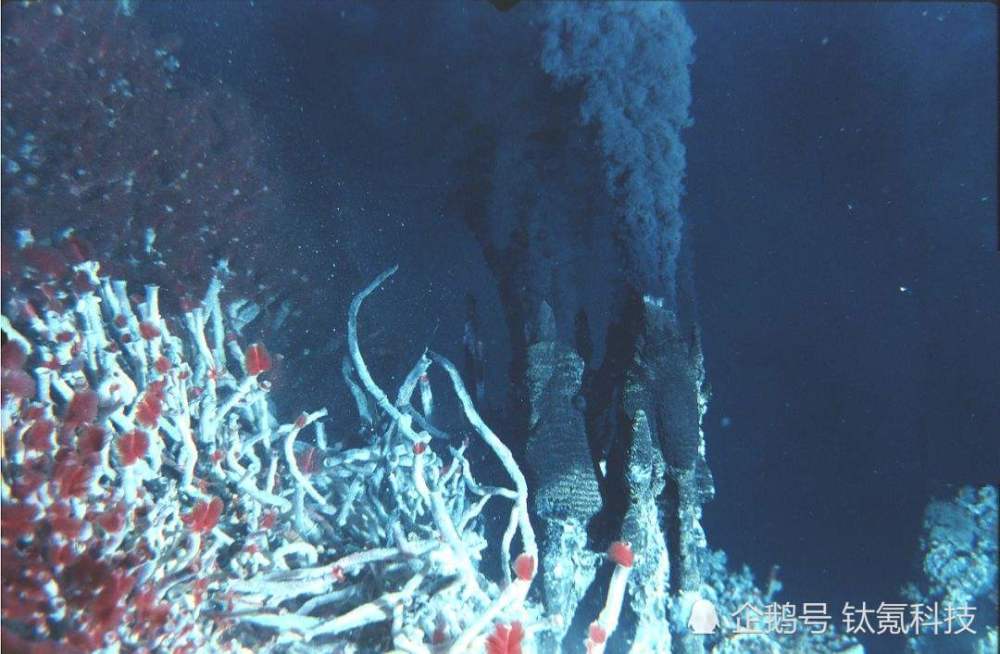 矿产资源,海洋,海底采矿条例
