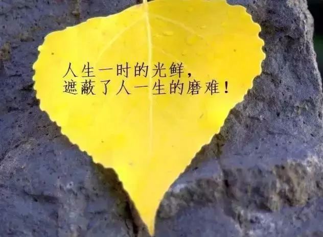 人生哲理心情感悟经典句子,触动人心的一段话