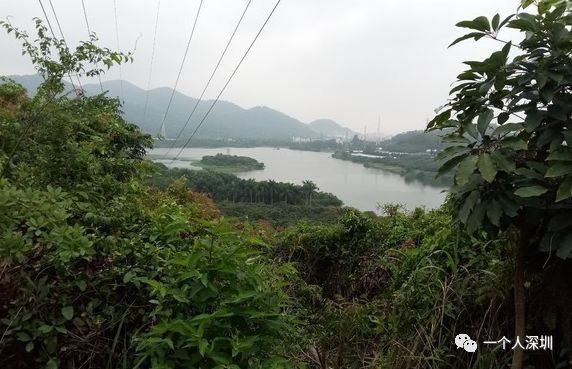 洪田火山郊野公园