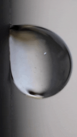 当接触荷叶表面时,水会形成水珠滚落下来,而玫瑰花怎么就不会?