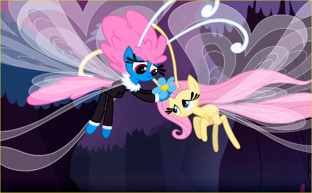 小马宝莉:天马小蝶的家里都有什么动物?爱洗澡的小兔子讨厌无序