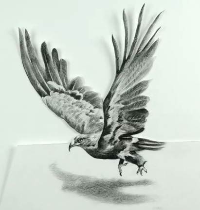 素描3d立体画"展翅高飞",只需将纸晃动就可以看到展翅