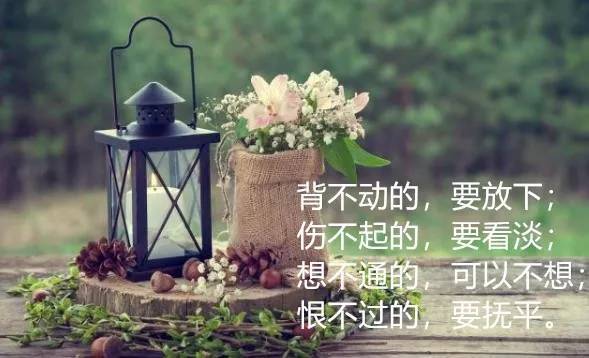 人生感悟心情语录,你最喜欢哪一句?