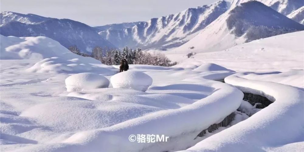 茫茫的大地披上银装,山舞银蛇,原驰蜡象,到处一片苍莽景象.