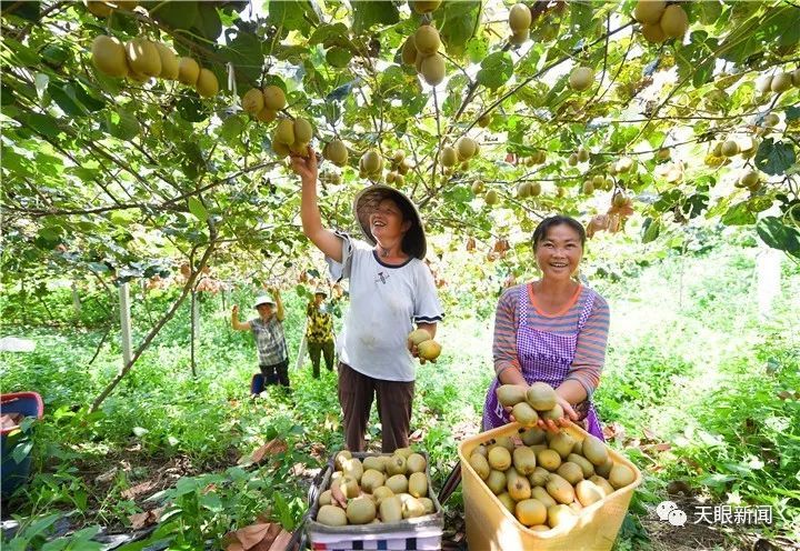 国务院扶贫办主任刘永富对贵州给予高度评价:"贵州脱贫攻坚工作一直