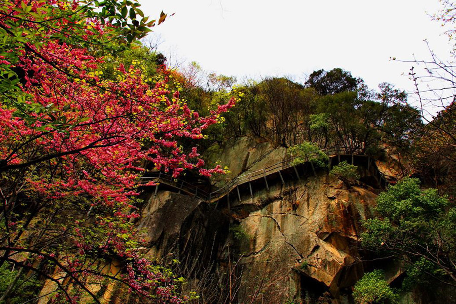 国家5a级旅游景区,西峡县,旅游,南阳,伏牛山世界地质公园,百强县