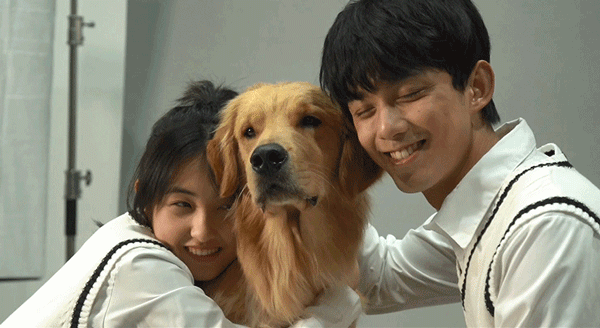 宠爱:钟楚曦透露这个动作是陈伟霆教的,网友:真是太撩人了!