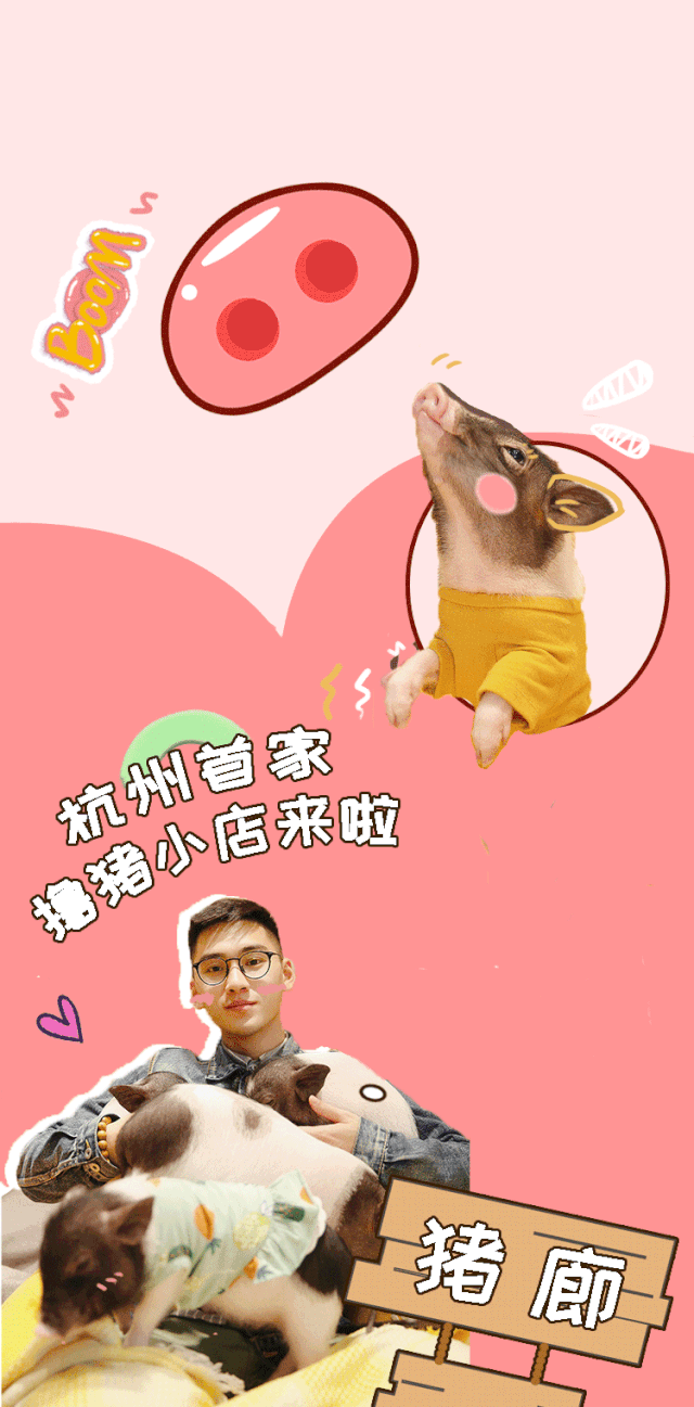 撸宠界新贵猪猪正式上线 二师兄在这里等你来宠幸!