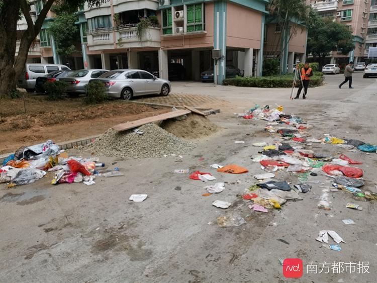 番禺一小区撤桶后垃圾乱丢!街道办称争取春节前建成分类投放站
