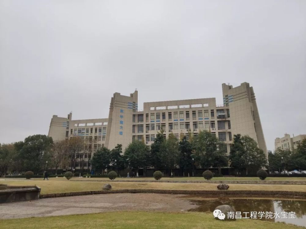 南昌工程学院,波斯菊,南楼