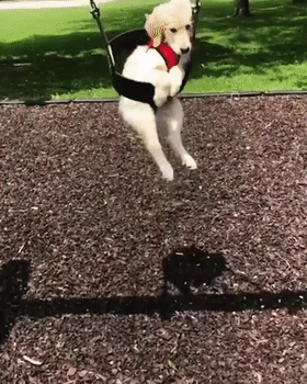 280_350 竖版 竖屏 gif 动态图 动图