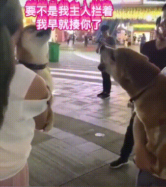 净水器之家- -end