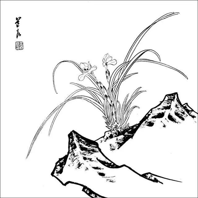 花鸟白描,国画学习素材