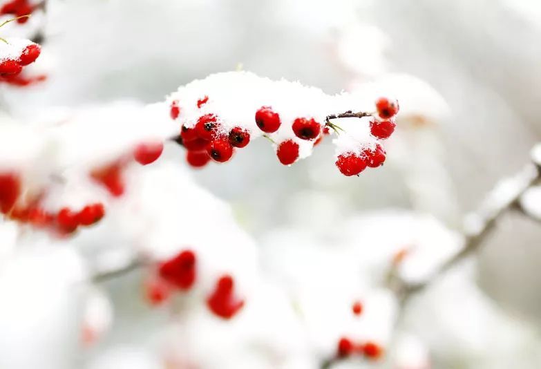 瑞雪丰年 银装素裹——赏水源山雪景