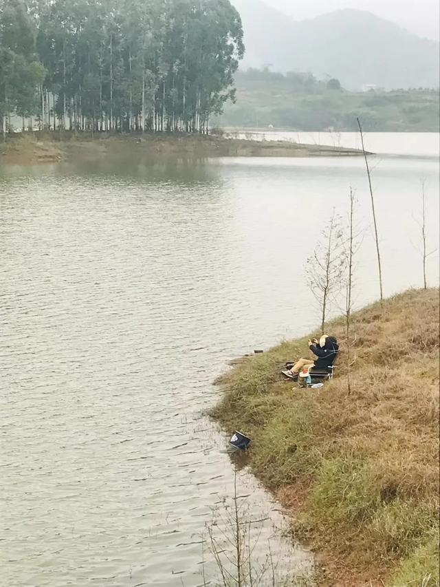 美女群主镜头下的大洪湖百态钓鱼人,快来看你出镜了么