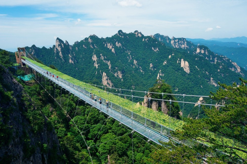 千年帝都,牡丹花城—老君山