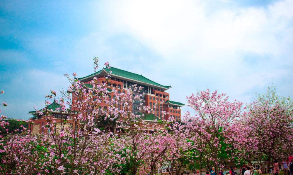 两所大学简称都是"华农!一所在武汉一所在广州,高考填志愿要注意