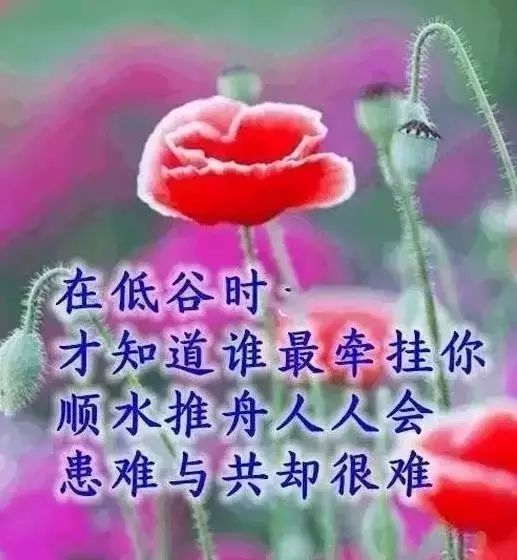 快把这些思念的话语送给你最亲的人吧!