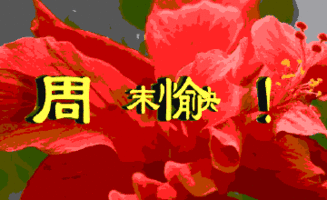 最新最全最新周六早安祝福问候语动态图片带字,周六愉快周末漂亮早上
