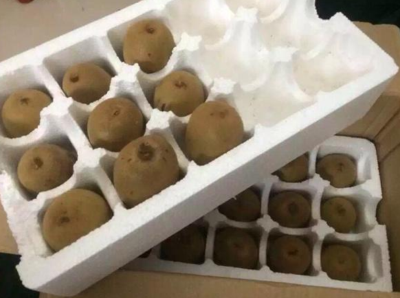 爱吃猕猴桃的注意了,放锅中蒸2分钟,奇迹发生了,太实用了