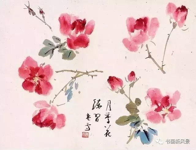 月季,王雪涛,牡丹